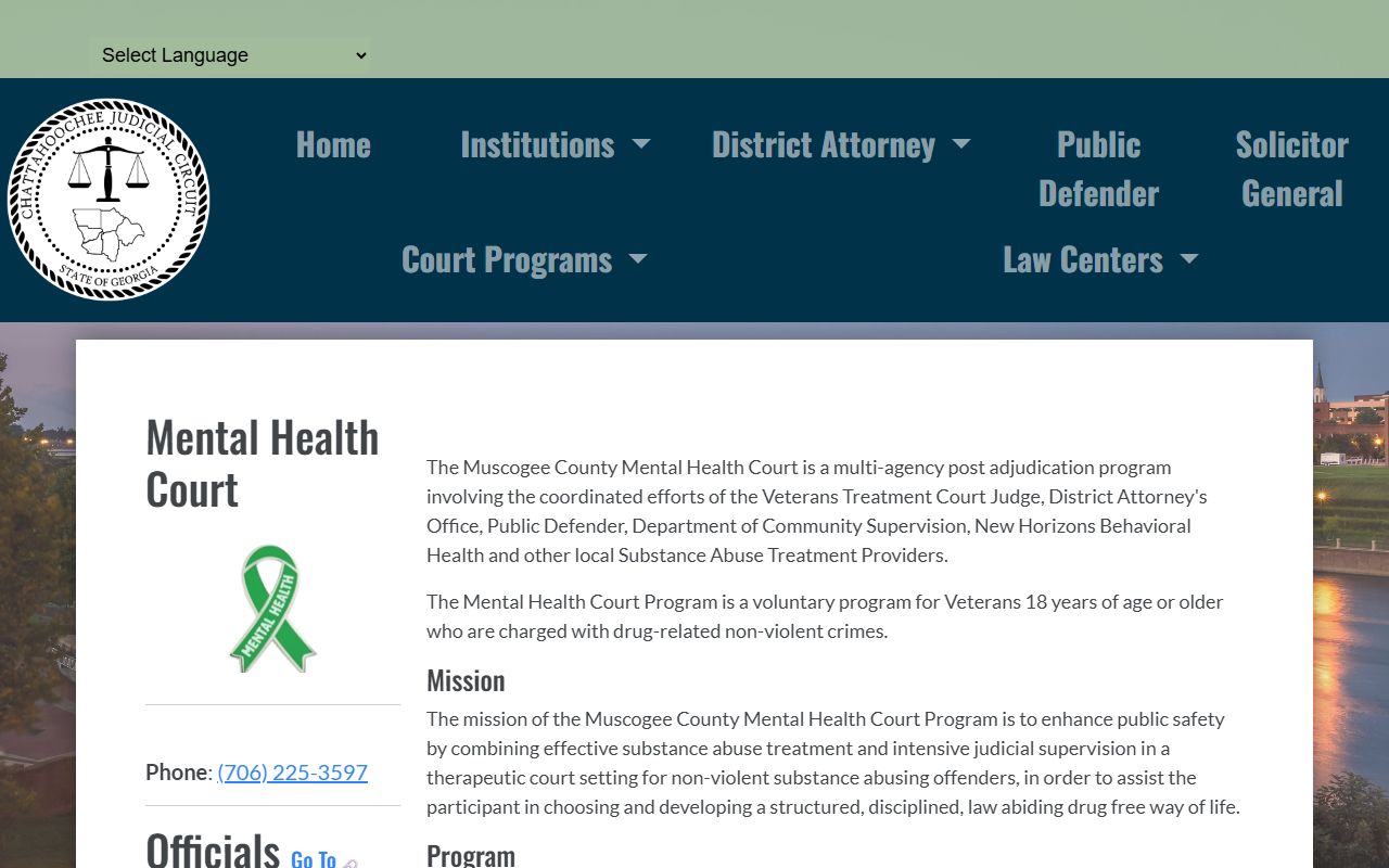 Talbot County court dockets mental health court program page